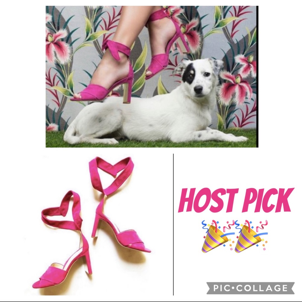 🎉HP🎉 Marion Parker Woman’s Magenta Suede Leah Heels Size 40 (US 9)